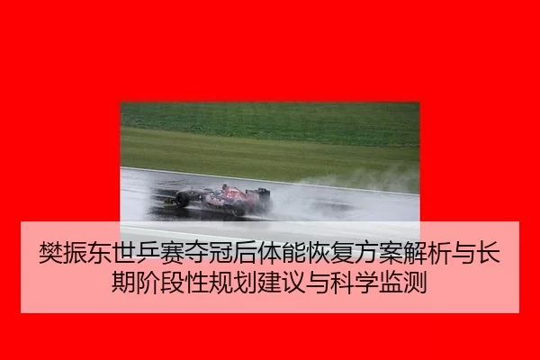樊振东世乒赛夺冠后体能恢复方案解析与长期阶段性规划建议与科学监测